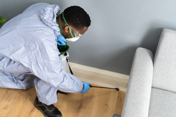 Best Real Estate Pest Inspections  in Nashvle, IL